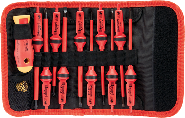 Set of interchangeable insulated blade screwdrivers